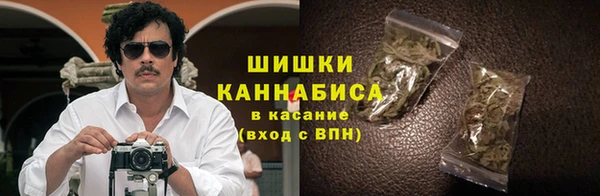 винт Губаха
