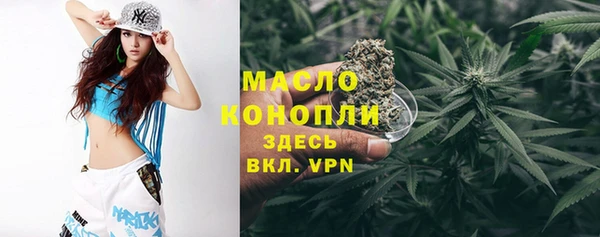 молекула духа Няндома