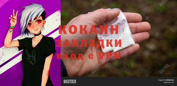 индика Горняк