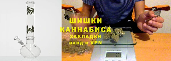 молекула духа Няндома