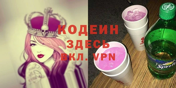 индика Горняк