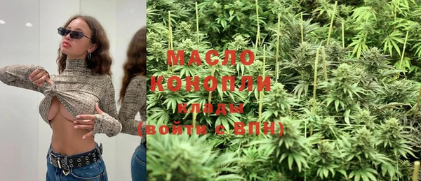 молекула духа Няндома