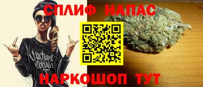 СК Гусев