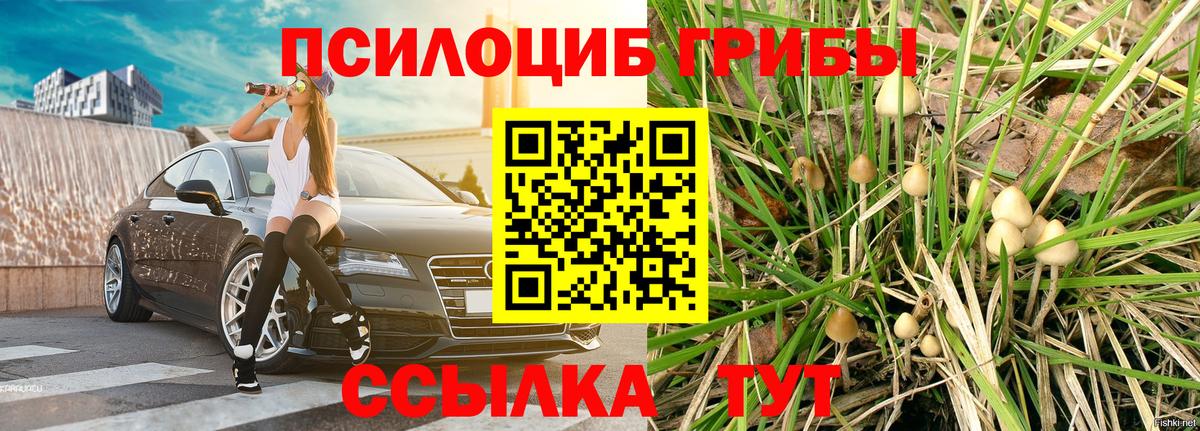 MDMA  Hash Oil  Вход с VPN  Экстази  МЕФ  ГАШ  Каннабис  COCAIN  25-NBOMe  Кольчугино  Мед  Alpha PVP 