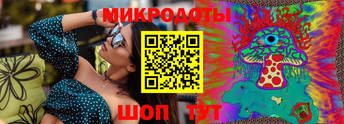 Псилоцибиновые грибы Кольчугино