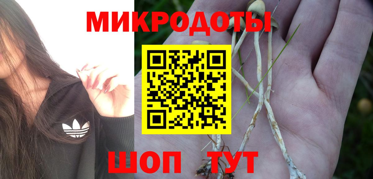 купить наркоту  Вход с VPN  Кольчугино  Псилоцибиновые грибы GOLDEN TEACHER 