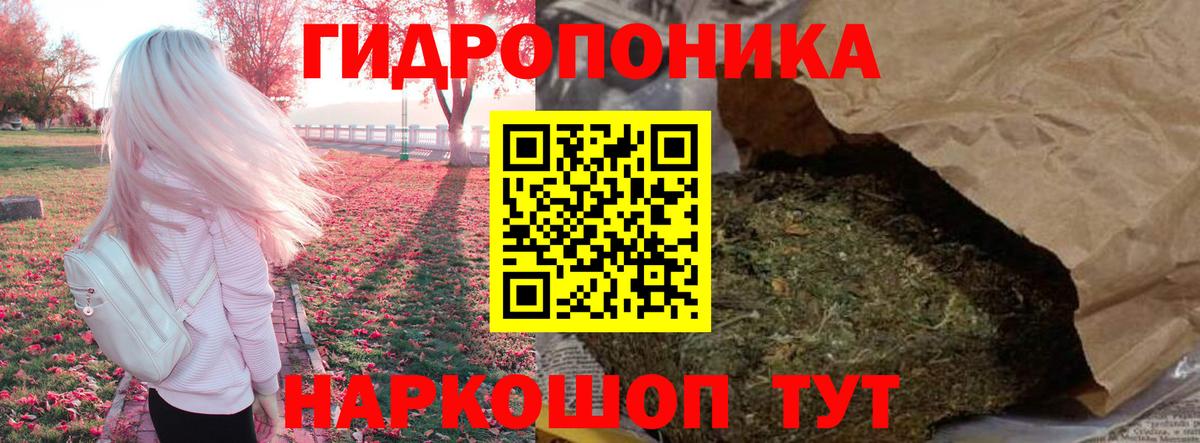 Канабис индика  Конопля план  Кольчугино 