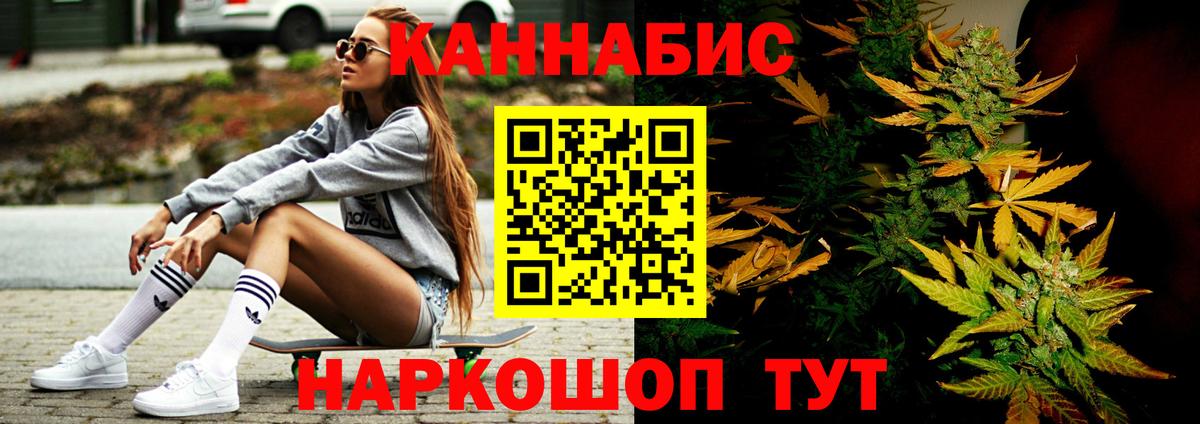 Каннабис планчик Кольчугино