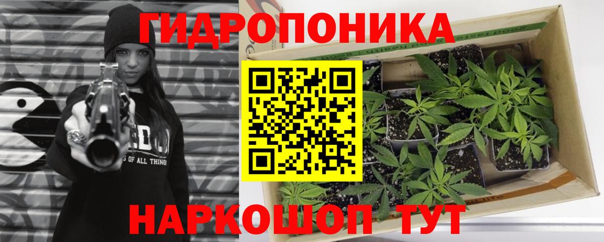Конопля конопля  Конопля марихуана  Бошки марихуана планчик  Бошки марихуана OG Kush  Кольчугино  Вход с VPN 
